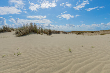 Fototapeta na wymiar Panorama of dunes, Nida - Curonian Spit and Curonian Lagoon, Nida, Klaipeda, Lithuania