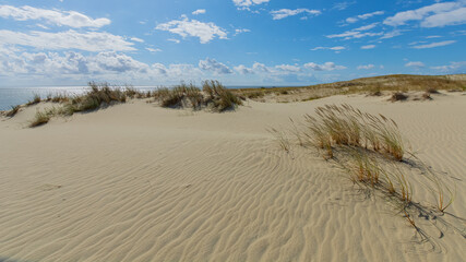 Fototapeta na wymiar Panorama of dunes, Nida - Curonian Spit and Curonian Lagoon, Nida, Klaipeda, Lithuania