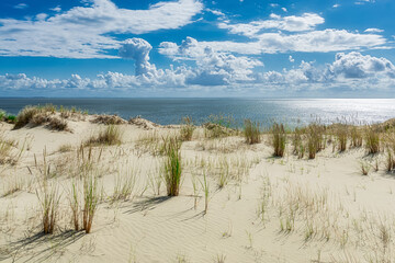 Panorama of dunes, Nida - Curonian Spit and Curonian Lagoon, Nida, Klaipeda, Lithuania