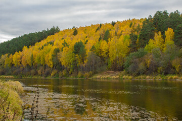 the golden road to the beautiful, the wonders of nature