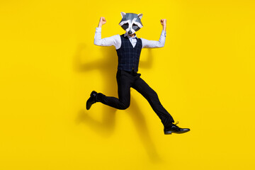 Fototapeta na wymiar Full length photo of bizarre surreal guy racoon mask jump up show triceps isolated over shine yellow color background
