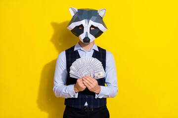 Photo of bizarre incognito guy racoon mask hold billion jackpot money isolated over bright yellow...