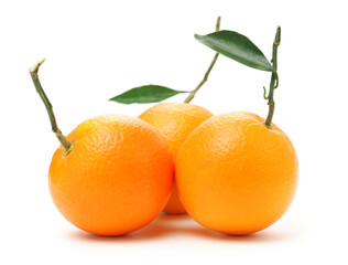 Orange fruit on the white background