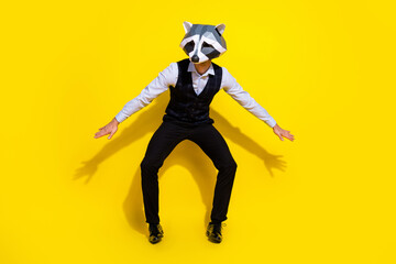 Photo of funky positive worker give disco performance wear raccoon mask vest isolated yellow color background