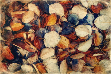 Background group autumn leaves. Outdoor.