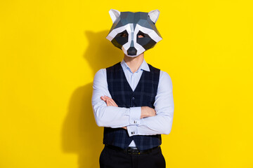 Photo of unusual weird guy boss racoon mask cross hands isolated over shine yellow color background