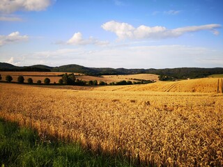 Sommerabend auf dem Sand bei Wolfsburg Unkeroda
