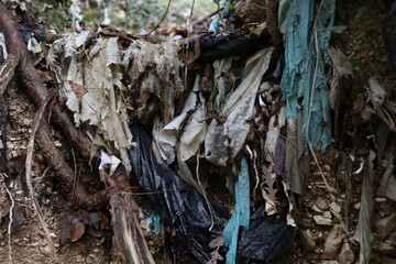 plastic and cloth abandoned for years in a creek - pollution of natural environment