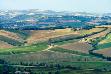 Rural landscape near Ostra Vetere and Cingoli, Marche, Italy