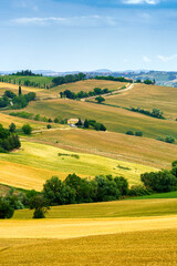 Rural landscape near Santa maria Nuova and Osimo, Marche, Italy