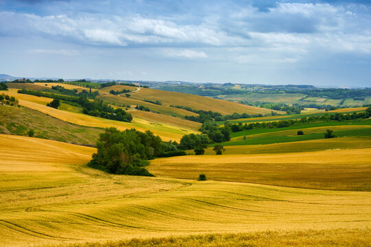 Rural landscape near Santa maria Nuova and Osimo, Marche, Italy