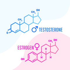 Estrogen and testosterone hormones molecular formula with liquid fluid shapes on white background. Vector illustration