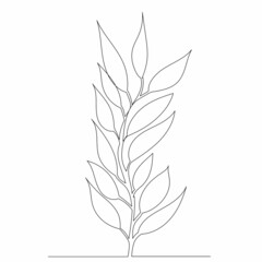 plant drawing by one continuous line, sketch, vector