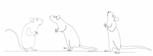 mouse, rat drawing by one continuous line, sketch, vector