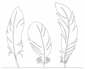 bird feather drawing by one continuous line, sketch