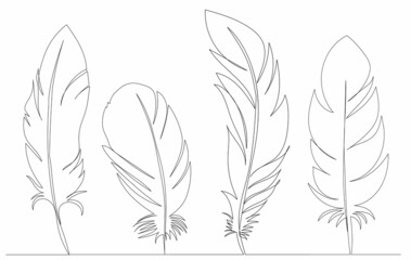 bird feather drawing by one continuous line, sketch, vector