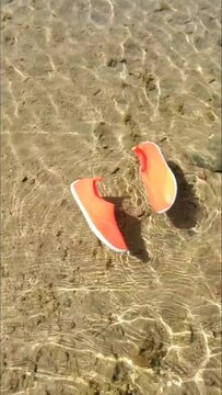 A view of the sea shoes floating in the sea water with a sandy bottom with shimmering sinuous lines creating a fun and artistic background