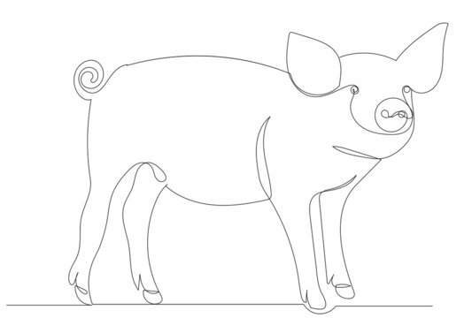 pig drawing by one continuous line, sketch, vector