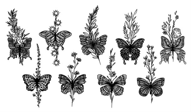 Tattoo art set butterfly sketch black and white