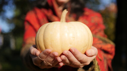 Two female hands holding a delightful pumpkin. Close-up of a beautiful round yellow gourd on the sun in the hands of a girl dressed in autumn colors. Concept of healthy food. Autumn activities.