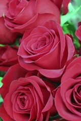 bouquet of red roses