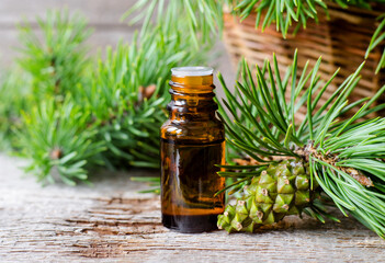 Small glass bottle with essential pine oil, pine branches and green cone. Aromatherapy, sauna, homemade spa and herbal medicine ingredients. Copy space.