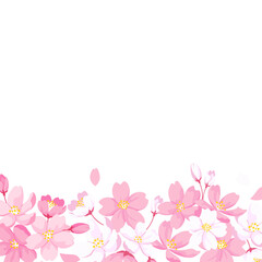 桜の花の装飾フレーム　正方形サイズ　背景イラスト　デザイン用のベクター素材