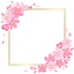 桜の花の装飾フレーム　正方形サイズ　デザイン用のベクター素材　ゴールドのフレーム