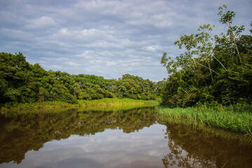 The beautiful waters of the Tahuayo River, which reflect the clouds in the sky and the green trees...