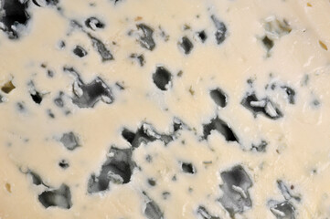 Bleu des Causses en gros plan