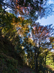 四方木不動滝周辺の紅葉
