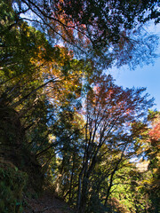 四方木不動滝周辺の紅葉