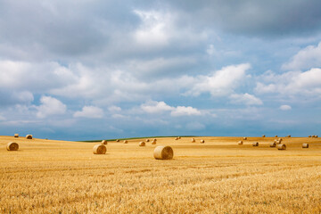 Fototapeta na wymiar bales of dry straw in the field after harvest