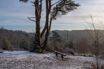 Hindhead common morning walk in the snow