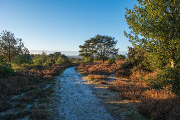 Hindhead common looking towards the South Downs