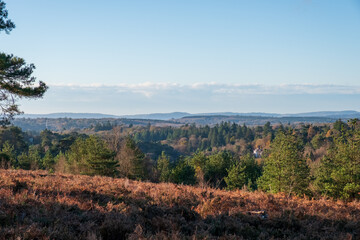 Hindhead common looking towards the South Downs