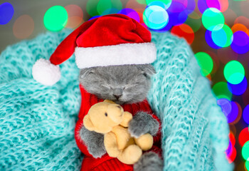 Cute kitten wearing warm sweater  and santa hat hugs toy bear and sleeps inside basket. Top down view