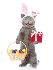 Happy kitten wearing easter rabbits ears holds basket of painted Easter eggs and gift box. Isolated on white background