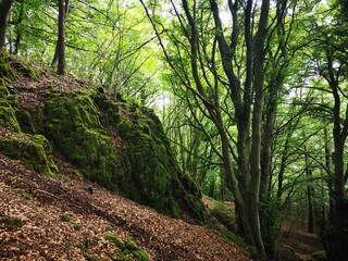 Fototapeta premium Wandern entlang am Gerolsteiner Felsenpfad
