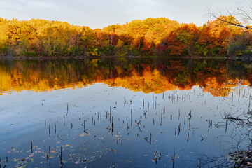 marthaler park autumn morning of coloful forest and pond reflections
