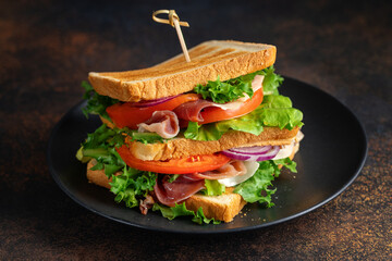 Tasty sandwich with vegetables and meat