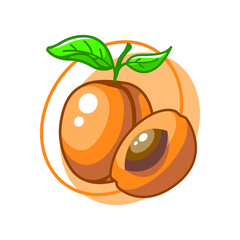 Peach fruit drawing illustration design