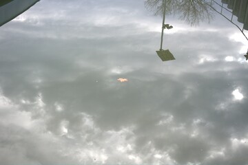 clouds reflection leaf in water 