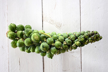 Horizontal Brussels sprouts stalk on a white wooden table