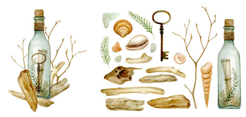 Set of watercolor driftwood, seaweed, seashells and other interesting marine finds. And a composition of driftwood and a message in a bottle. © dalidasia