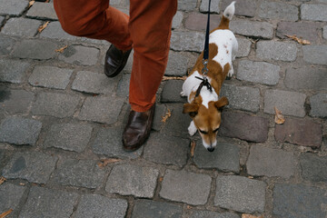 Chien se faisant promener par son maître un dimanche à Paris. Les deux acolyte marchent sur un sol pavé.