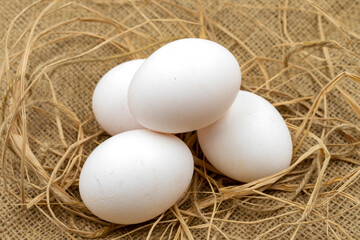 Egg carton on jute fabric. close-up white egg. horizontal view