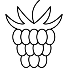 Raspberry Fruit Icon Vector Outline