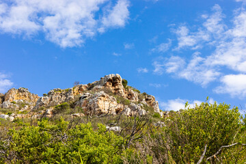 Rugged mountain landscape with fynbos flora in Cape Town