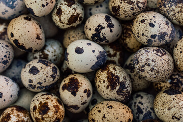 Fototapeta premium Picture of black and white eggs, mixing together.